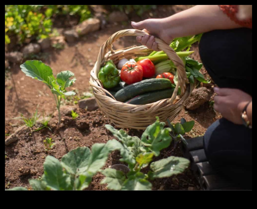Τα βιώσιμα λάχανα μεγαλώνουν πιο πράσινους κήπους με πρακτικές φιλικές προς το περιβάλλον 3 Βιώσιμα λάχανα: Οικολογικές πρακτικές για τη συντήρηση του κήπου