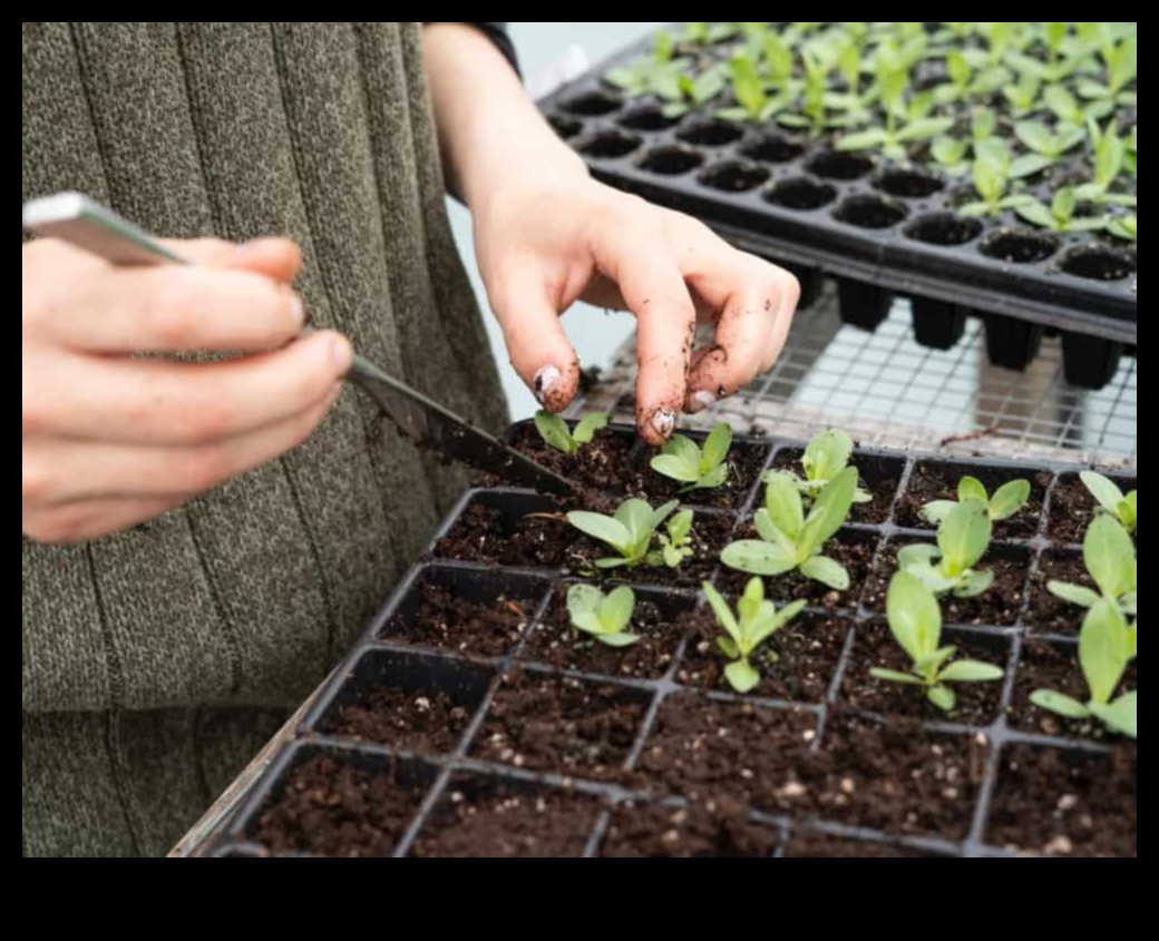 Τα βιώσιμα λάχανα μεγαλώνουν πιο πράσινους κήπους με πρακτικές φιλικές προς το περιβάλλον 2 Βιώσιμα λάχανα: Οικολογικές πρακτικές για τη συντήρηση του κήπου
