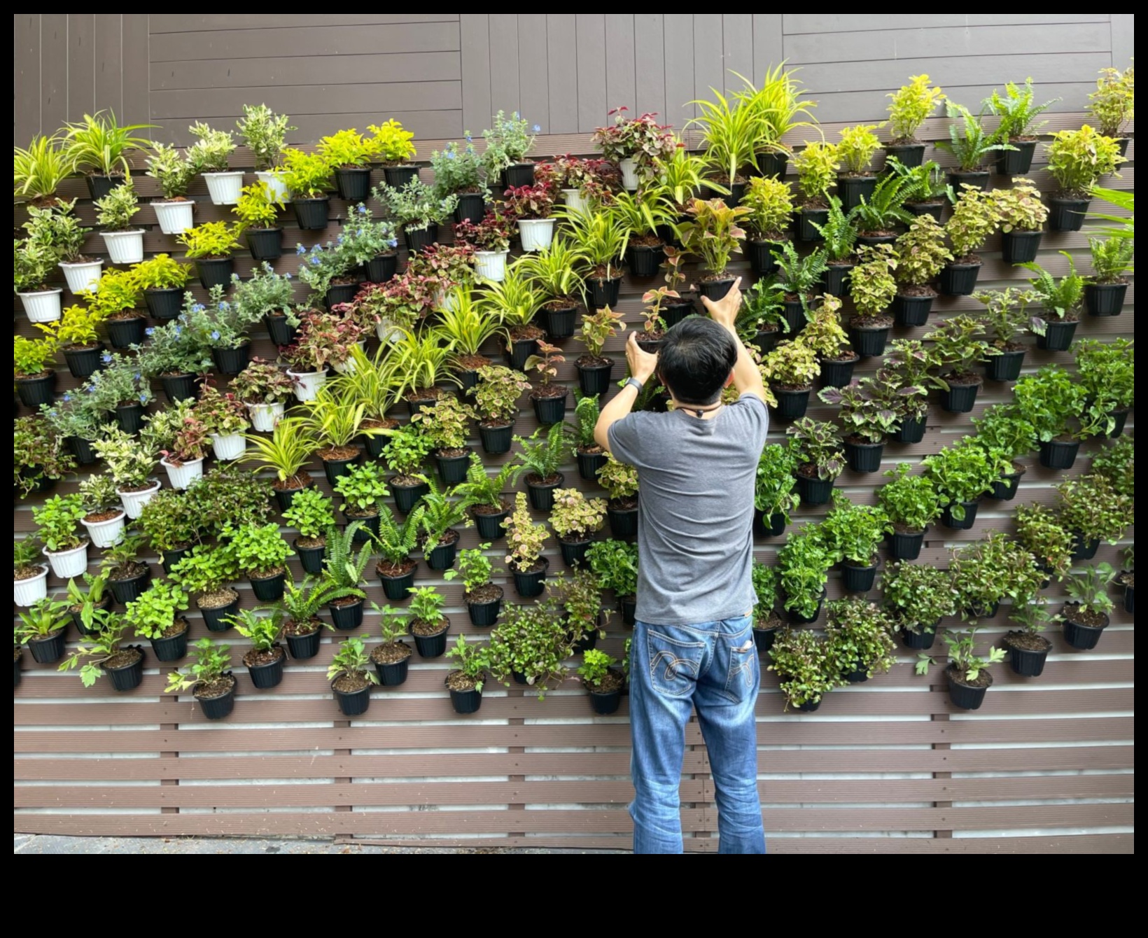 Crafting Greenery: DIY Adventures for a Thurving Garden