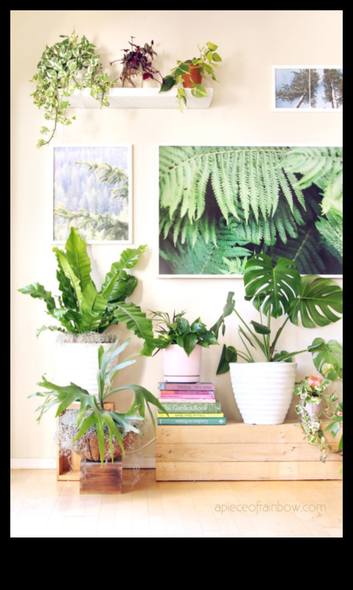 Houseplant Haven: Unlocking the Secrets of Indoor Gardening
