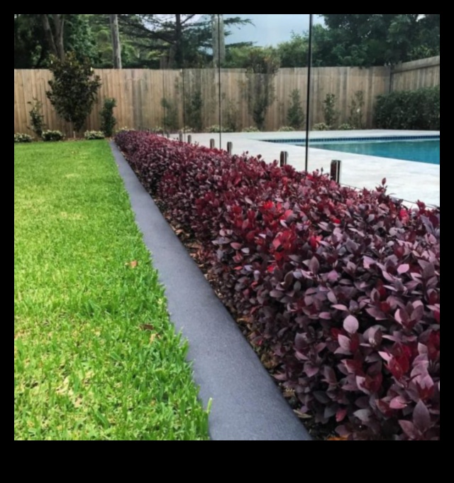 Rooted Radiance: Αποκαλύπτοντας τα μυστικά του Garden Brilliance with Maintenance