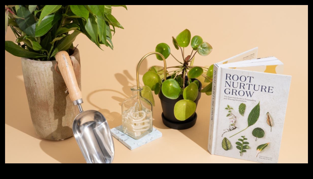 Secret Garden Βοτανικά Δώρα και Δώρα με θέμα τα φυτά 3 Secret Garden: Βοτανικά και φυτικά δώρα