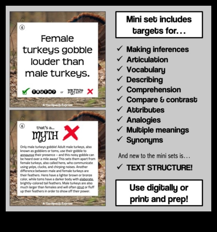 Μικροσκοπικά Εργαλεία Ο μύθος και η αλήθεια 3 Είναι τα μικροσκοπικά εργαλεία τόσο αποτελεσματικά όσο οι βούρτσες πλήρους μεγέθους; Καταρρίπτοντας τον Μύθο