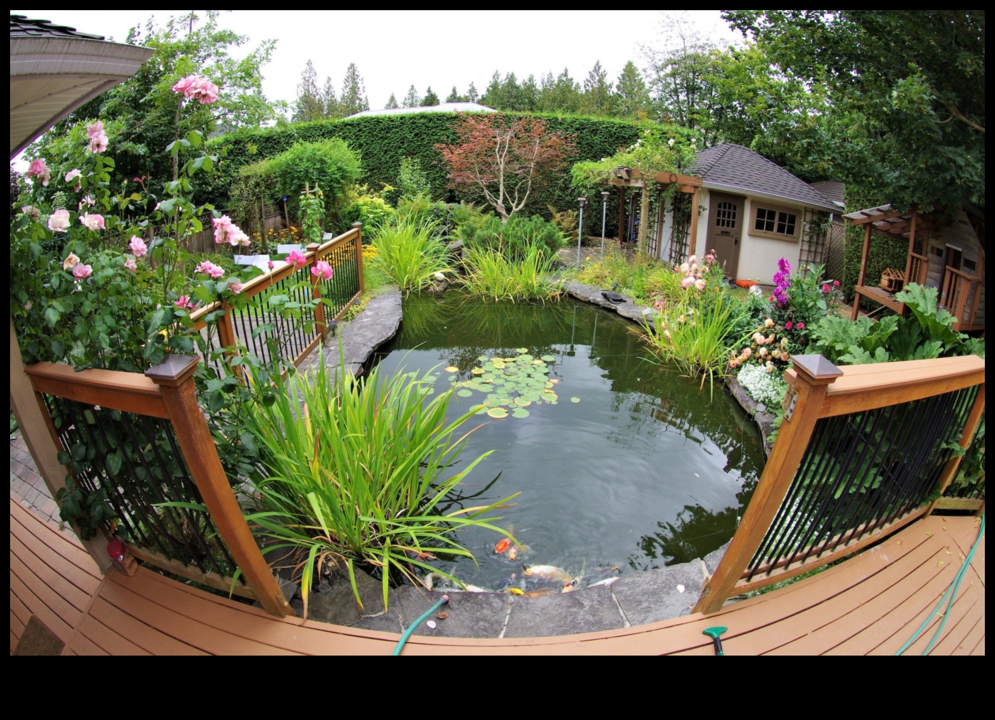 Sculpting Serenity: Ανυψώστε τον κήπο σας με διακοσμητικές απολαύσεις