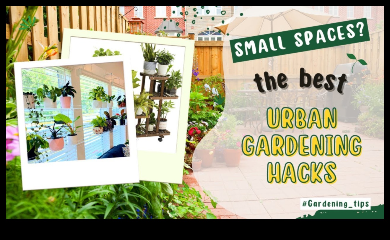 Small Space, Big Green: Urban Gardening Secrets
