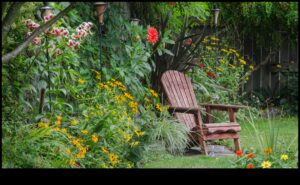 Budget-Friendly Blooms: DIY Inspirations for Lush Gardens