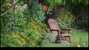 Budget-Friendly Blooms: DIY Inspirations for Lush Gardens