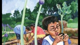 Green Classroom Chronicles: The Impact of Garden Education