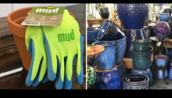 Green Thumb Gifts: Εργαλεία και αξεσουάρ κηπουρικής