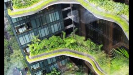 Rising Peaks: The Beauty of Vertical Gardening