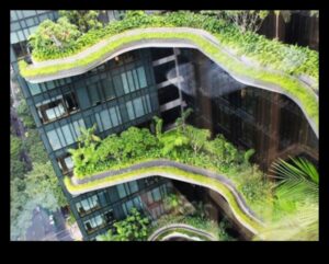 Rising Peaks: The Beauty of Vertical Gardening