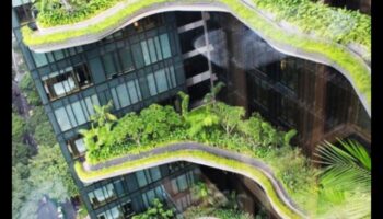 Rising Peaks: The Beauty of Vertical Gardening