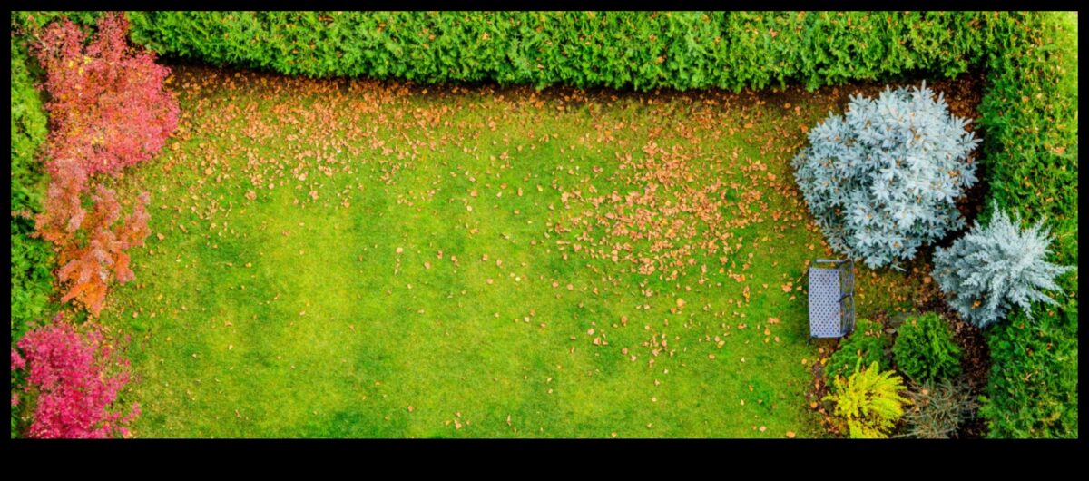 Rooted Radiance: Αποκαλύπτοντας τα μυστικά του Garden Brilliance with Maintenance