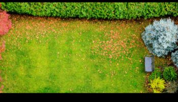Rooted Radiance: Αποκαλύπτοντας τα μυστικά του Garden Brilliance with Maintenance