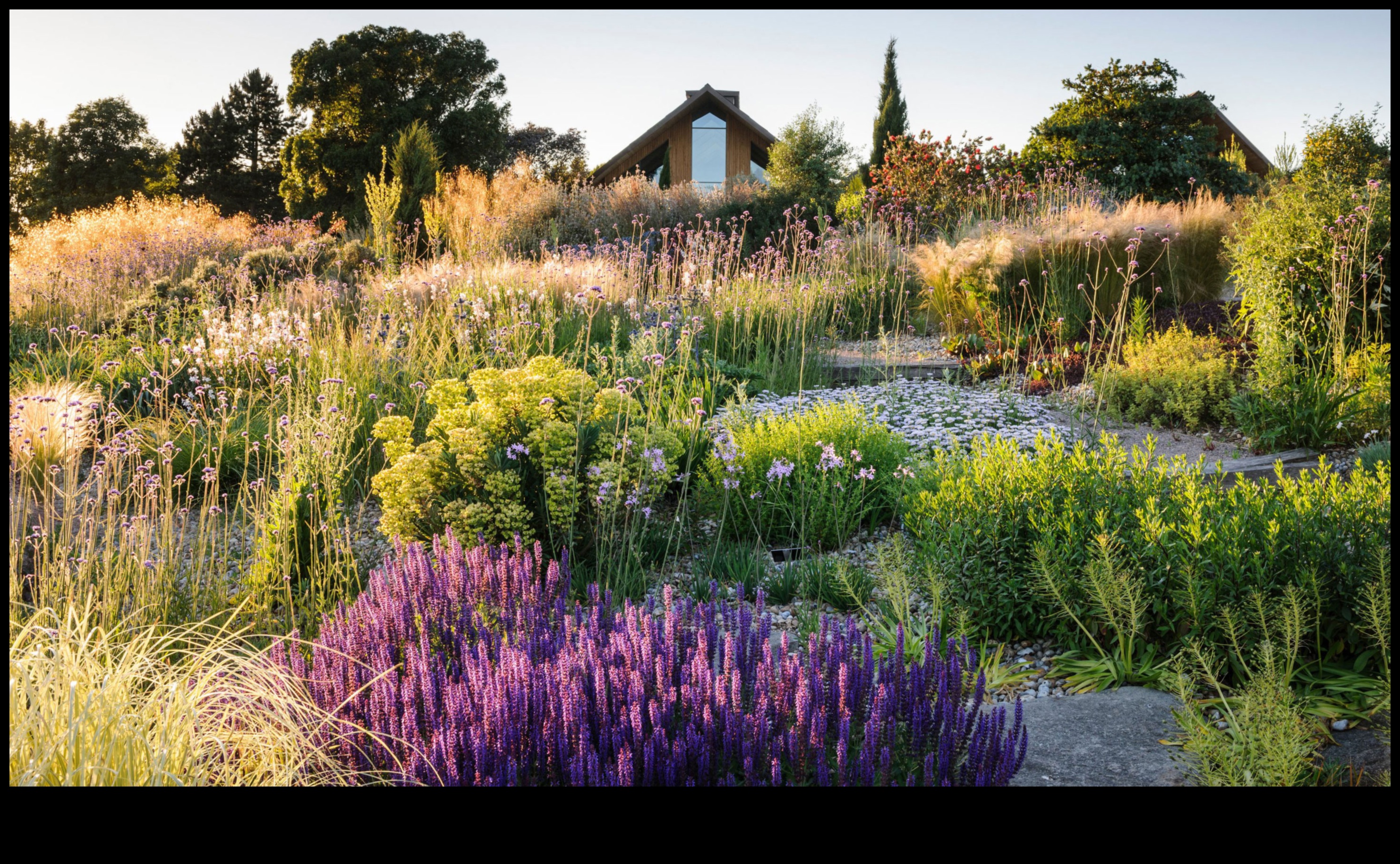 Τα βιώσιμα λάχανα μεγαλώνουν πιο πράσινους κήπους με πρακτικές φιλικές προς το περιβάλλον 1 Βιώσιμα λάχανα: Οικολογικές πρακτικές για τη συντήρηση του κήπου