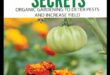Botanical Bonds: Unveiling Secrets of Expert Companion Planting