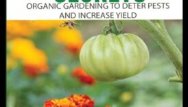 Botanical Bonds: Unveiling Secrets of Expert Companion Planting