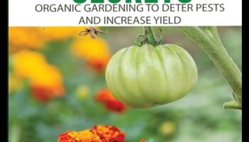 Botanical Bonds: Unveiling Secrets of Expert Companion Planting