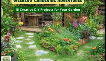 Crafting Greenery: DIY Adventures for a Thurving Garden