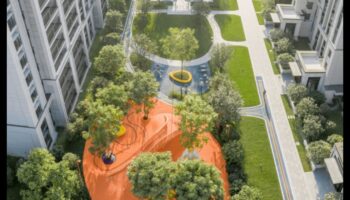 Urban Oasis Explorations: Gardening Wisdom for City Life