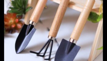 Καλλιεργήστε τη χαρά: Βασικά εργαλεία κήπου για ενθουσιώδεις