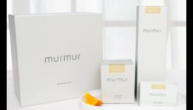 Momentous Murmurs: Unveiling Special Gift Concepts