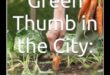 Small Space, Big Green: Urban Gardening Secrets
