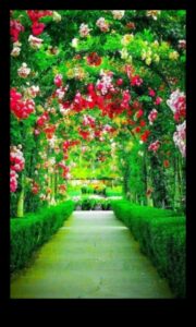 Συναρπαστικά σκηνικά: Garden Design Splendor