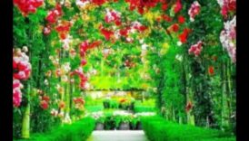 Συναρπαστικά σκηνικά: Garden Design Splendor