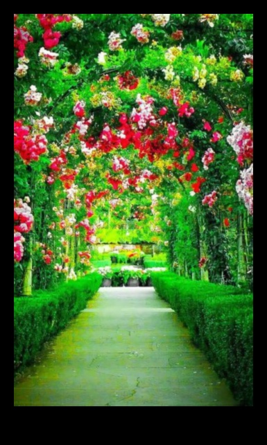 Συναρπαστικά σκηνικά: Garden Design Splendor