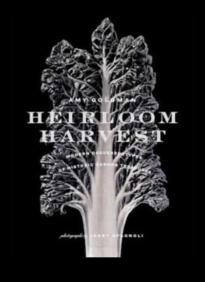 Heirloom Harvests: Organic Gardening's Timeless Charm