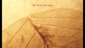 Φροντίζοντας τα δώρα της φύσης: Η ουσία της βιολογικής κηπουρικής